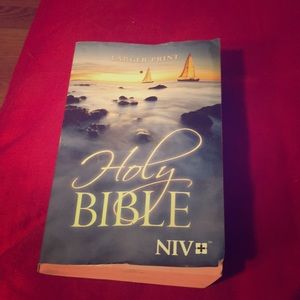 The holy bible international version